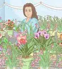 Grow Orchids for Profit