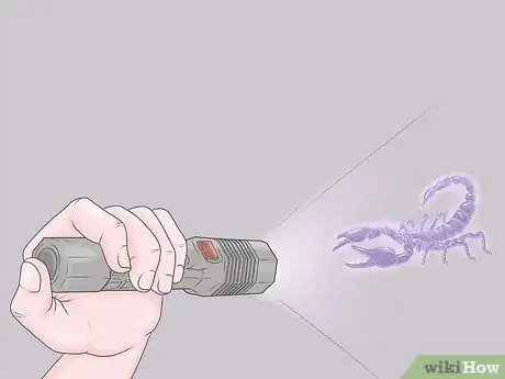 Image titled Kill a Scorpion Step 4
