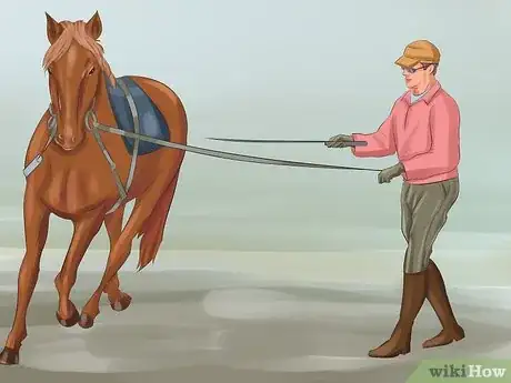Image titled Tame Your Horse or Pony Step 4