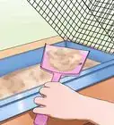 Bathe a Ferret