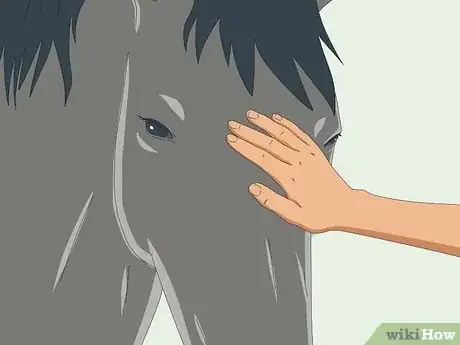 Image titled Teach a Horse to Come when Called Step 8