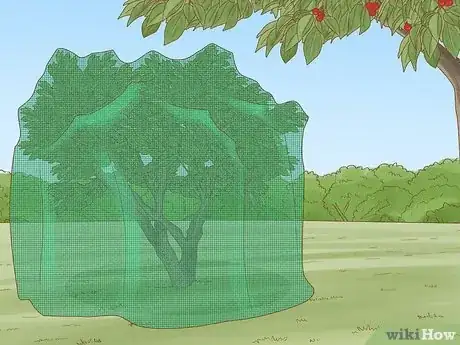 Image titled Protect Your Cherry Trees from Birds Step 9