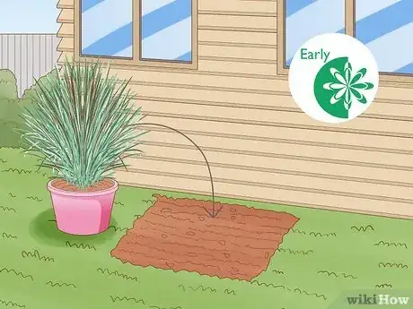 Image titled Plant Switchgrass Step 6