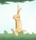 Trap a Rabbit