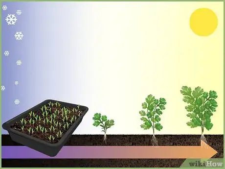 Image titled Plant a Seed Step 9