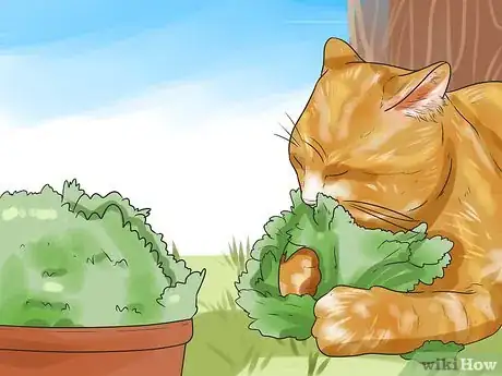 Image titled Prevent Cats from Pooping in the Garden Step 12