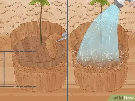 Image titled Grow Nutmeg Step 18