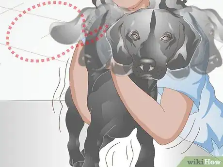 Image titled Groom a Difficult Dog Step 15