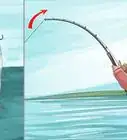 Catch Whitefish