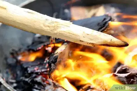 Image titled Make a Spear Step 3