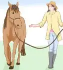 Do Basic Dressage Successfully