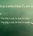 Use a Semicolon