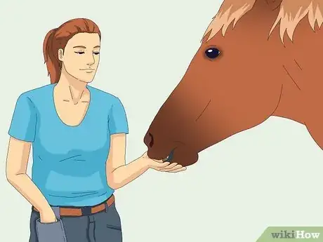 Image titled Teach a Horse to Come when Called Step 2