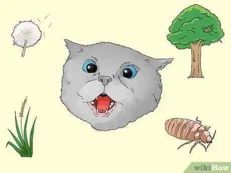 Image titled Treat Watery Eyes in Cats Step 13