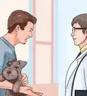 Restrain a Dog