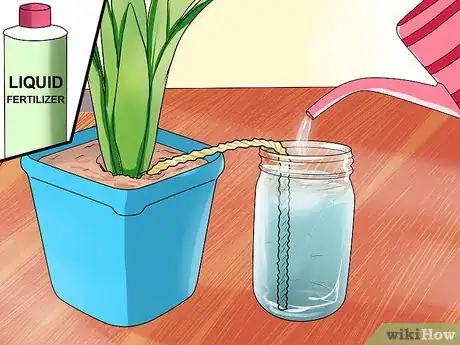 Image titled Water Plants While You're Away Step 12