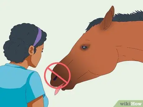 Image titled Teach a Horse to Come when Called Step 3