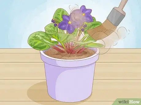 Image titled Clean Plant Leaves Step 2