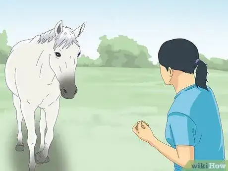 Image titled Teach a Horse to Come when Called Step 7
