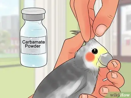 Image titled Treat Conjunctivitis in Cockatiels Step 3