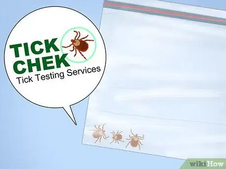 Image titled Prevent Tick Bites While Camping Step 24