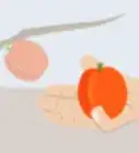 Grow Apricots