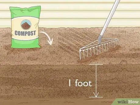 Image titled Grow Foxglove Step 5
