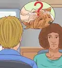 Dog‐Sit when You Have a Cat