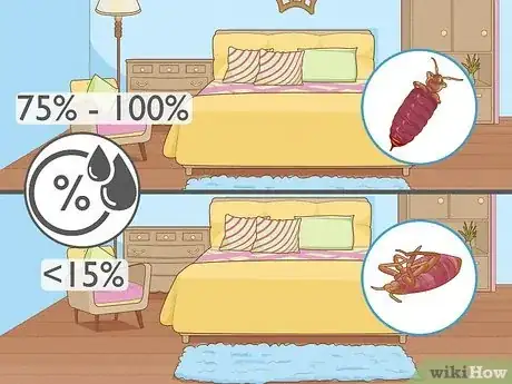 Image titled How Long Can Bed Bugs Live Without a Host Step 3