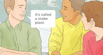 Write a Scientific Name