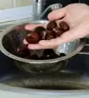 Eat Chestnuts