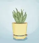 Self-Watering Planters: How to Use Them & How They Work