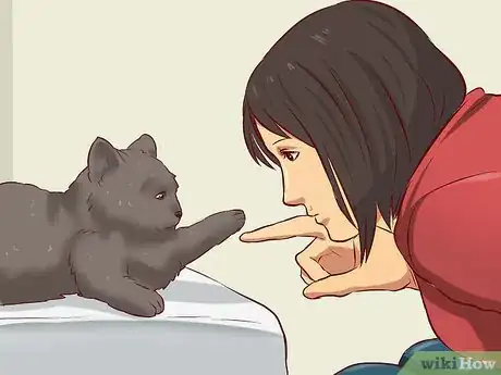 Image titled Get a Cat for a Pet Step 12
