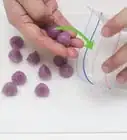 Freeze Onions