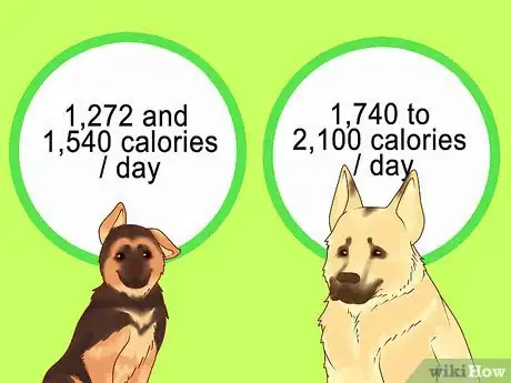 Image titled Make Your German Shepherd Gain Weight Step 10