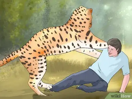 Image titled Survive a Leopard Attack Step 10