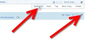 Use Box.Net