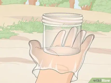 Image titled Find Owl Pellets Step 5