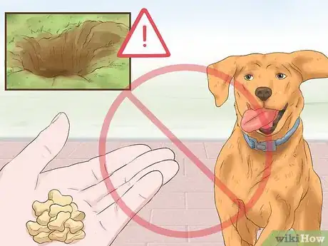 Image titled Cope With a Bad Dog Step 4