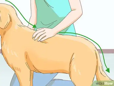 Image titled Pet a Dog Step 15
