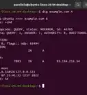 Find a Website's IP Address
