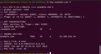 Find a Website's IP Address