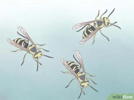 Image titled Get Rid of a Wasp's Nest Step 2