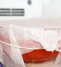 Freeze Watermelon