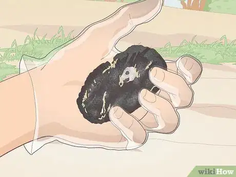 Image titled Find Owl Pellets Step 9