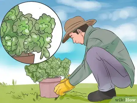 Image titled Prevent Cats from Pooping in the Garden Step 9