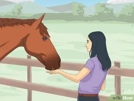Image titled Teach a Horse to Come when Called Step 13