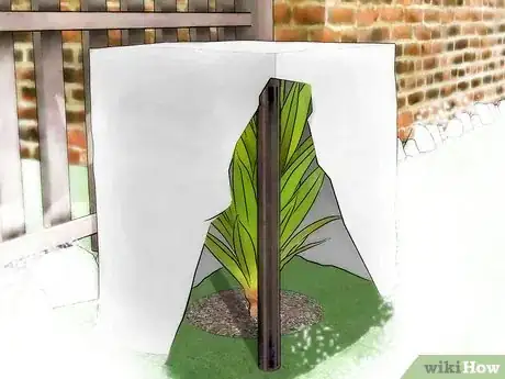 Image titled Protect Plants from the Cold Step 3