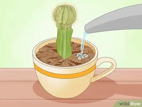 Image titled Plant a Teacup Garden Step 8