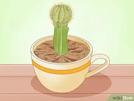Image titled Plant a Teacup Garden Step 7